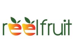 Latest Employment Opportunities at ReelFruit